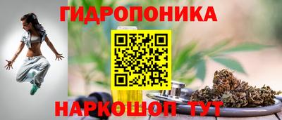скорость Абакан